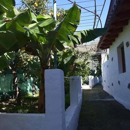 Casa Camino Tamadaba Daire *