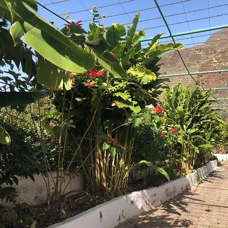 Daire Casa Camino Tamadaba Agaete (Gran Canaria)